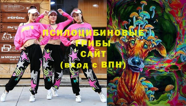 дмт Магас