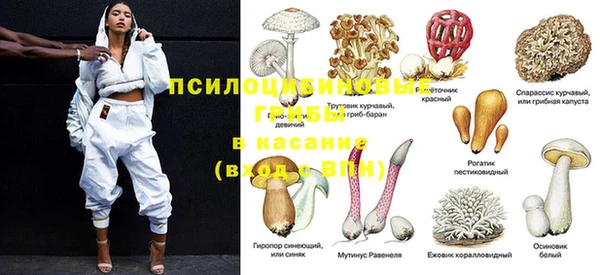дмт Магас